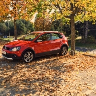 Polo 6R von Mace