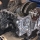 Volkswagen VW Polo 9N3  Modelljahr 2007 mit der Motorisierung 1.2L 6V - 44 kW (60 PS) in der Farbe Blau vom Mitglied oEUROne