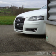 Audi  A3 2.0T Sportback von steper