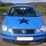 Auto von polo-näse
