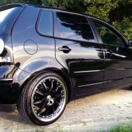 Black Beauty  von Polo Heizer