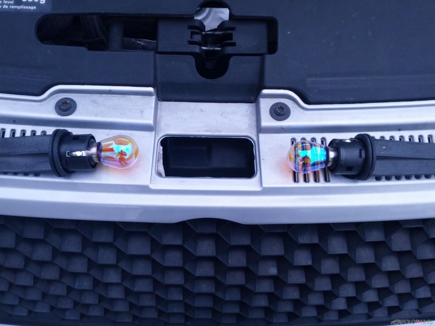 Die neuen Blinkerbirnen