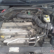 Ford  Escort von Quinzi Polo