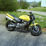 Honda Hornet von euro