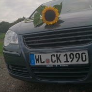 Mein Kleiner von Polo-Cari