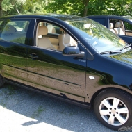 mein polo von eve85