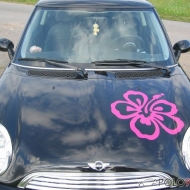Mini Cooper von DS-150