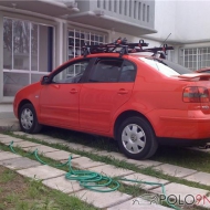 Picupload von polomexicano