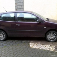 Polo 1,2 meiner Perle von ferdnand