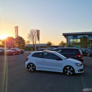 Polo 6C Blue GT von Operator