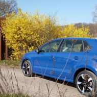 Endlich Frühling 2013!