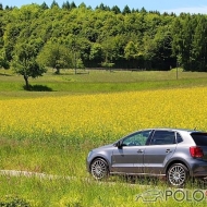 Polo 6R Highline von 09387