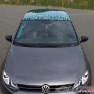 Polo 6R Silver Edition von minchen..