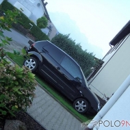 Polo 9N Basis von Dan7