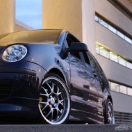 Polo 9N Basis von Dimo