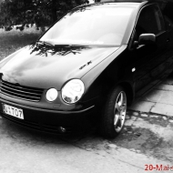Polo 9N Basis von Ed Hardy