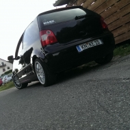 Polo 9N Basis von Eric 9N