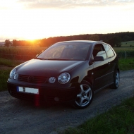 Polo 9N Basis von Flix