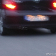 Polo 9N Basis von Floh