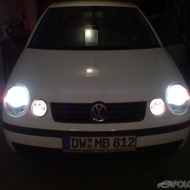 Polo 9N Basis von fridolina