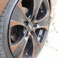 Polo 9N Basis von Gentleman