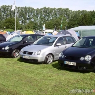Polo 9N Basis von Gerd