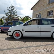 Polo 9N Basis von Goldi