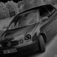 Polo 9N Basis von horstbeckmann