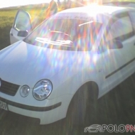 Polo 9N Basis von Kirsche310389