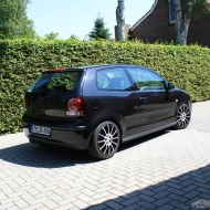 Polo 9N Basis von kl33n