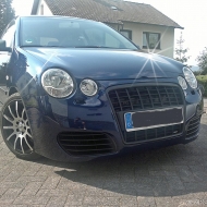 Polo 9N Basis von Lion74