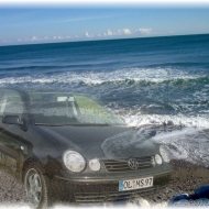 Polo 9N Basis von Melli