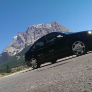 Polo 9N Basis von Mysty
