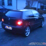 Polo 9N Basis von Picardino