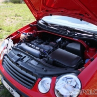 Polo 9N Basis von polodave