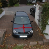 Polo 9N Basis von SOIR