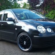 Polo 9N Basis von Teddy Bear