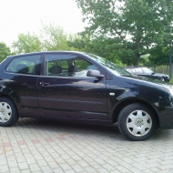 Polo 9N Basis von Tinchen_1