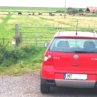 Polo 9N Basis von VWXYZ