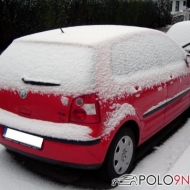 Polo 9N Comfortline von Bluetiger