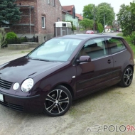 Polo 9N Comfortline von Exscan