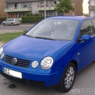 Polo 9N Comfortline von Punisher