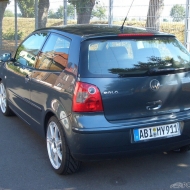 Polo 9N Cricket von Eibemme