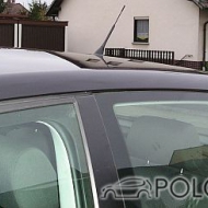 Polo 9N Cricket von hullahulla