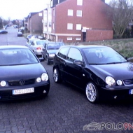 Polo 9N Cricket von katja9n