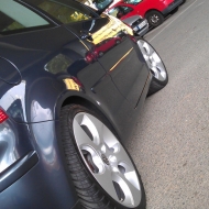 Polo 9N Cricket von Manager-1000