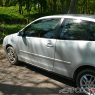 Polo 9N Cricket von martini2504