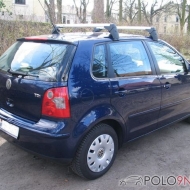 Polo 9N Cricket von polo-info-fun