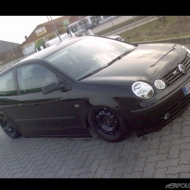 Polo 9N GT von pologt