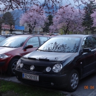 Polo 9N Highline von m3lani3